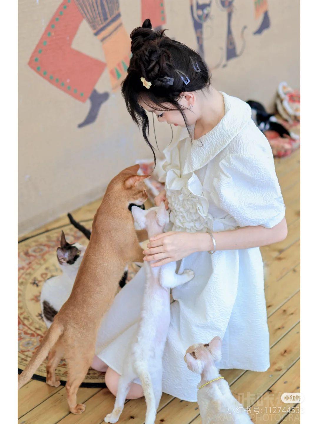 作品图 9