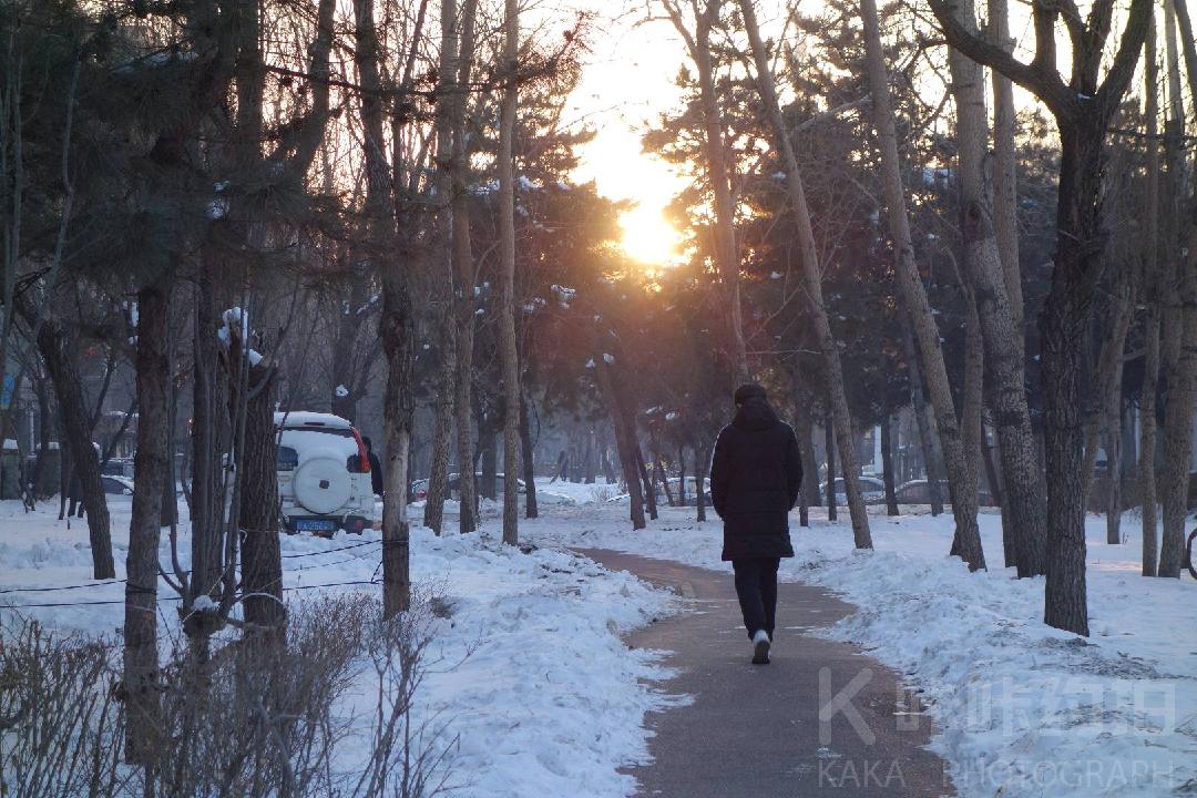 作品图 2