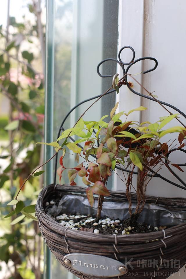 场地图 2