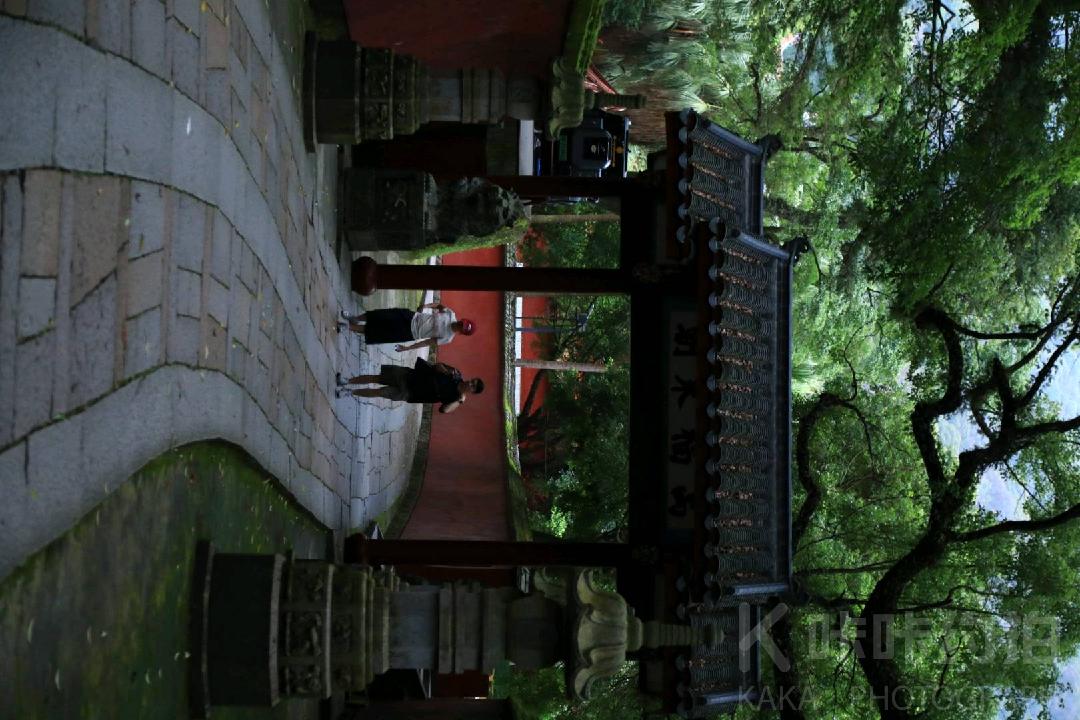 作品图 8
