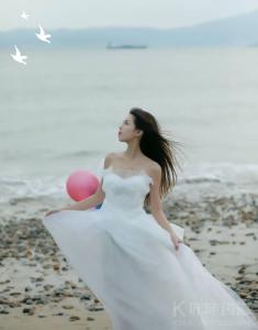 摄影师~鱼翅