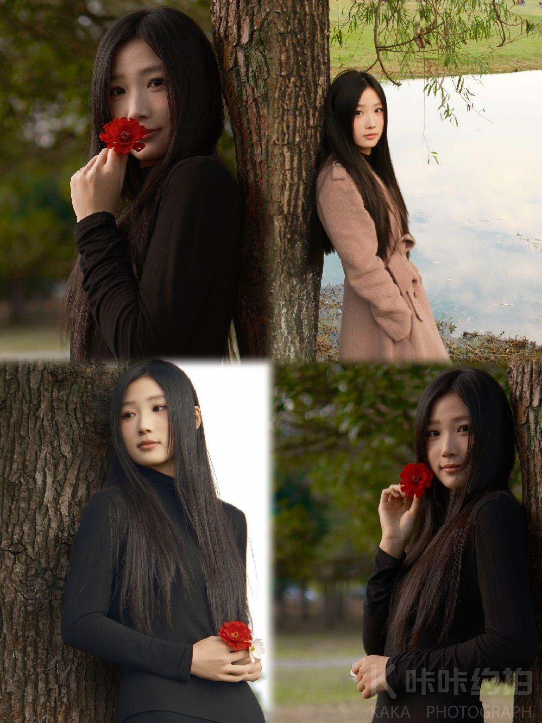 作品图 6