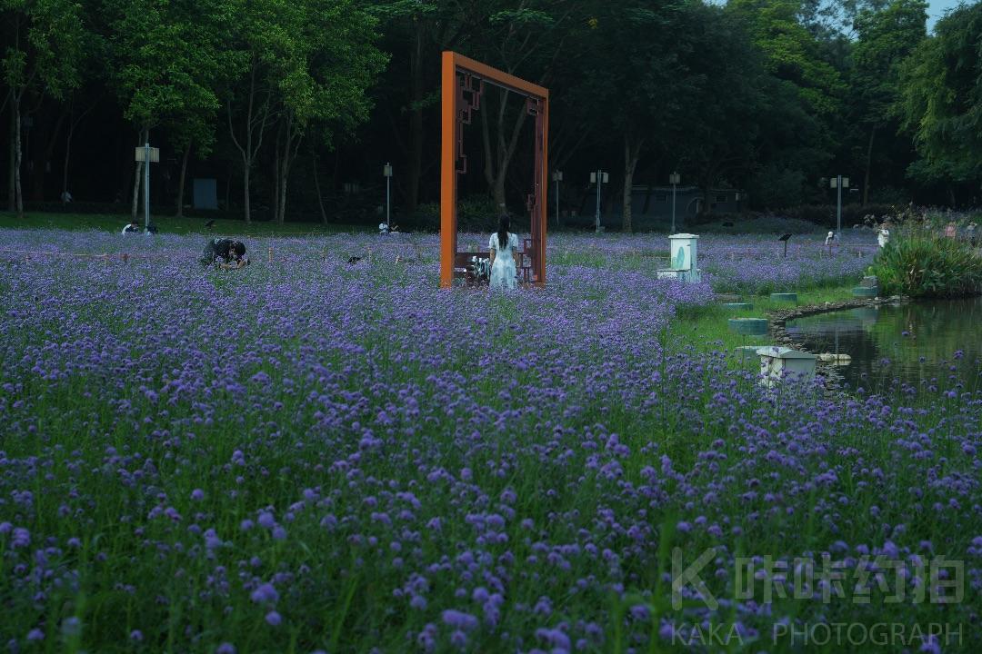 作品图 8