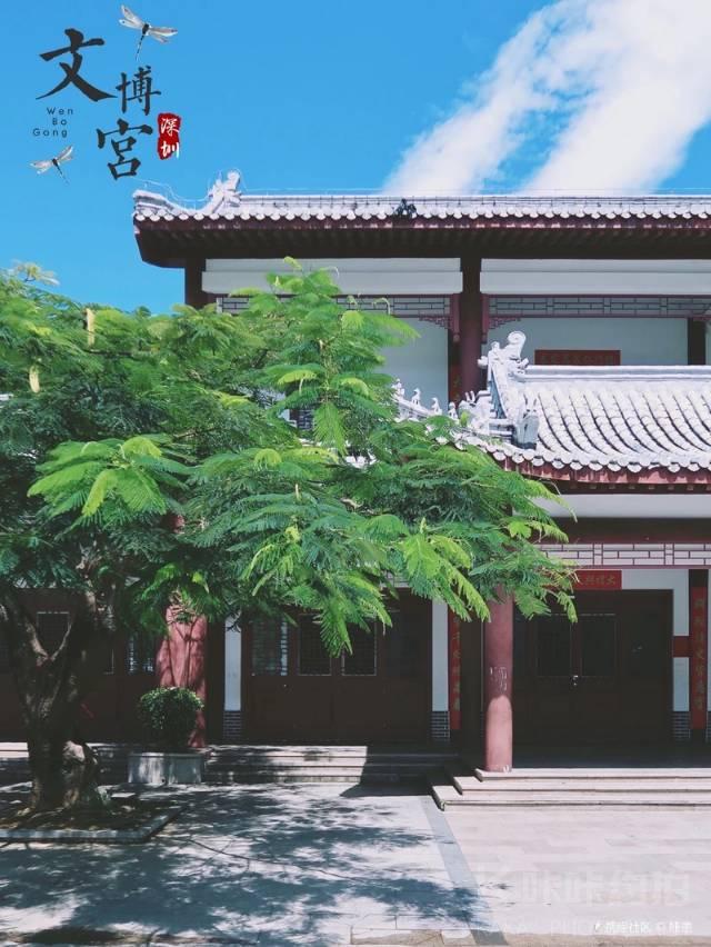 场地图 4