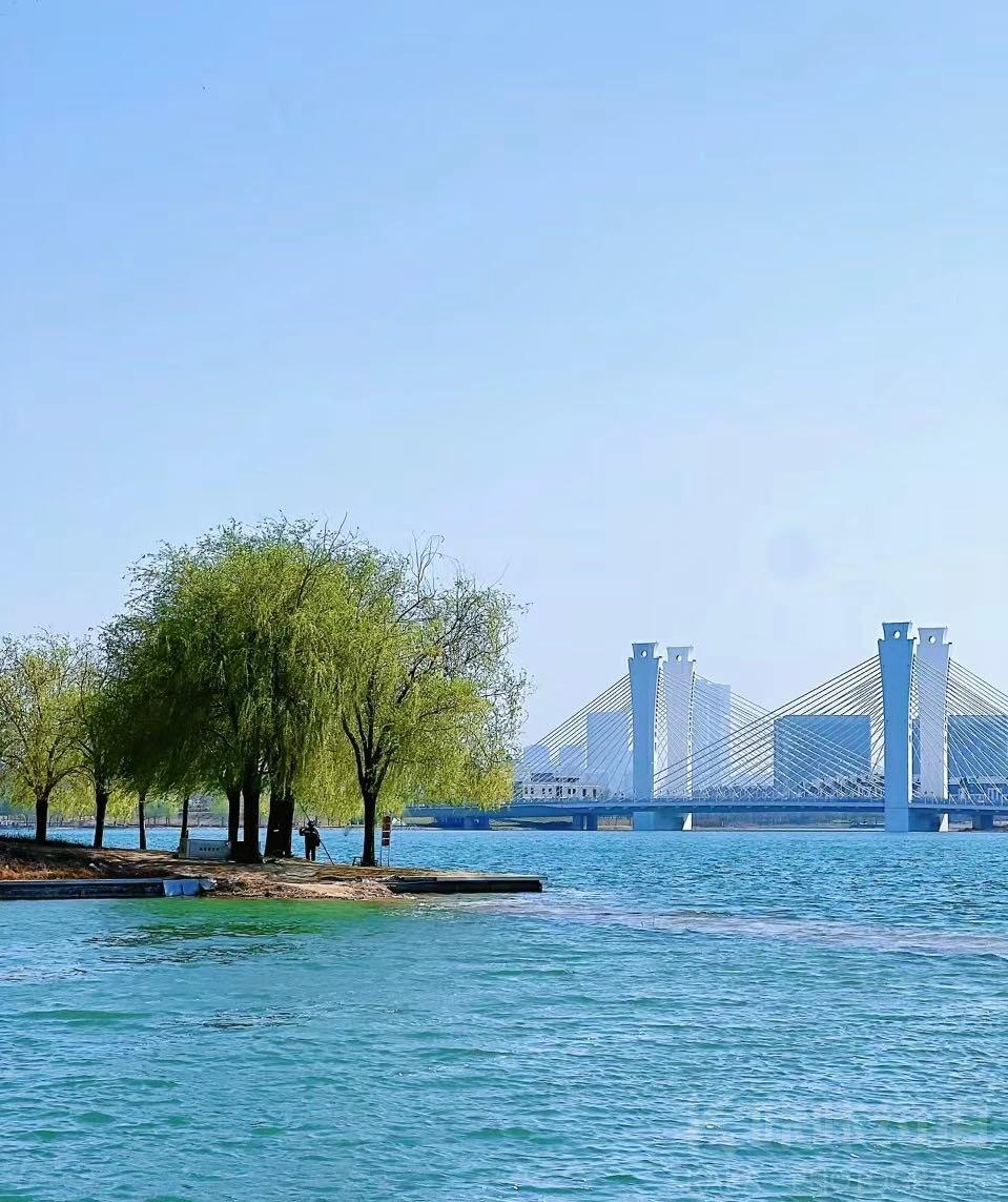 场地图 2