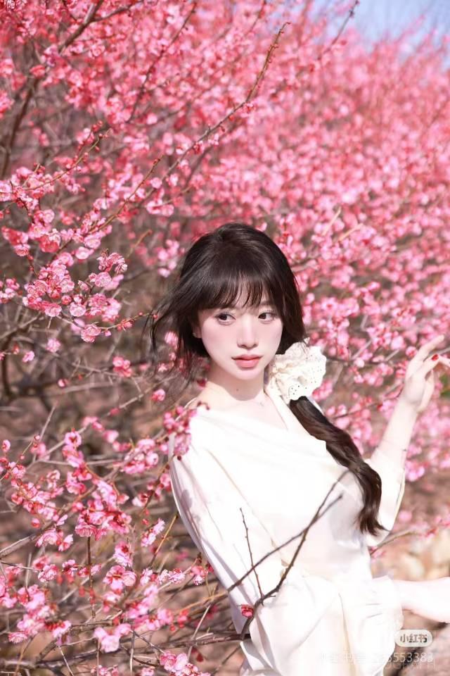 作品图 2