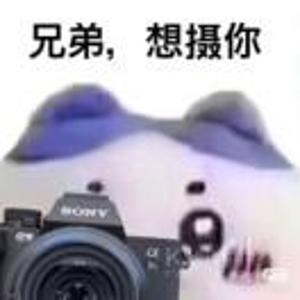 霜木成林
