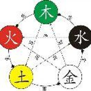 王多鱼王多鱼