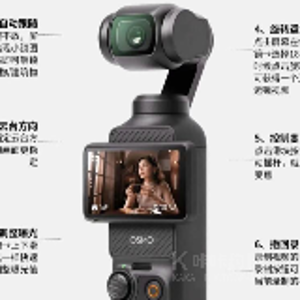 动静结合