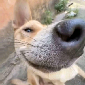 至简