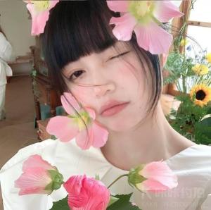 桉悸
