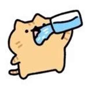 猫猫