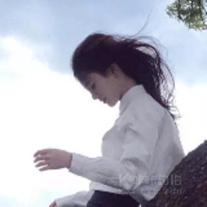 菜菜
