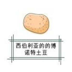 土豆