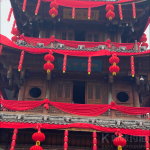 上海影视向涛