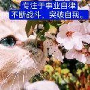 苏瑛落