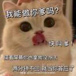 羊羊吖