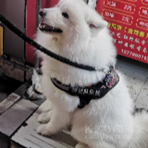 好玩爱玩还要