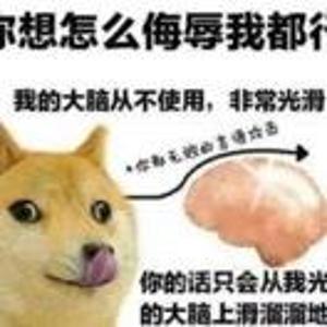 顶焦度计