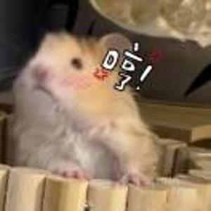 姜丝炒土豆🥔