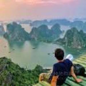 阳阳