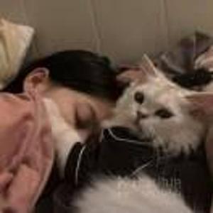 果果