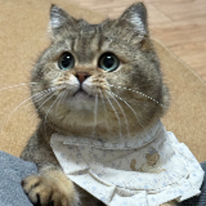 森江奈