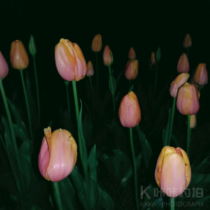 en