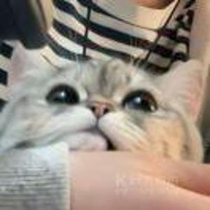 张瓜瓜