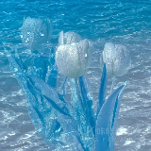 沐沐