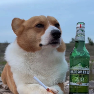风