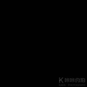 柳权