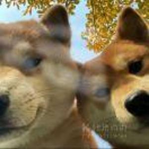非凡