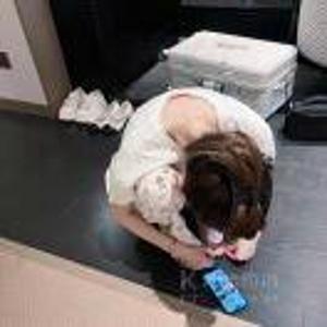 耶比耶比