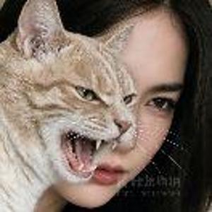 依依