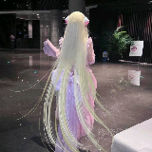 白玫瑰