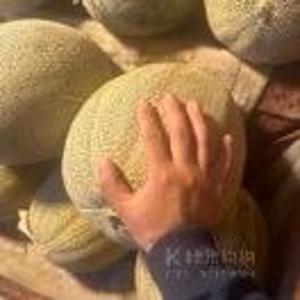 约拍拍