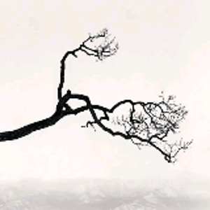 阿弥陀佛
