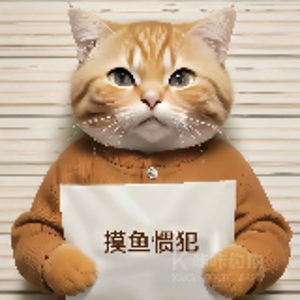 拍印象