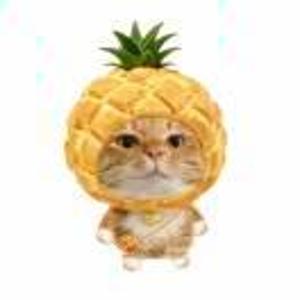 小菠萝