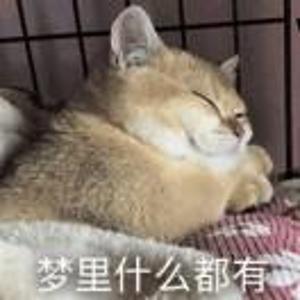 哈哈哈
