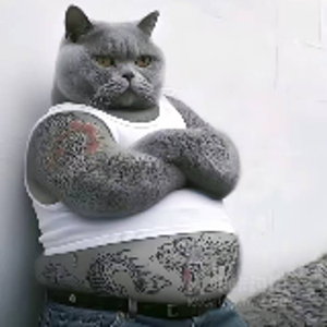 豆子
