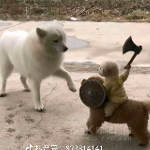九歌