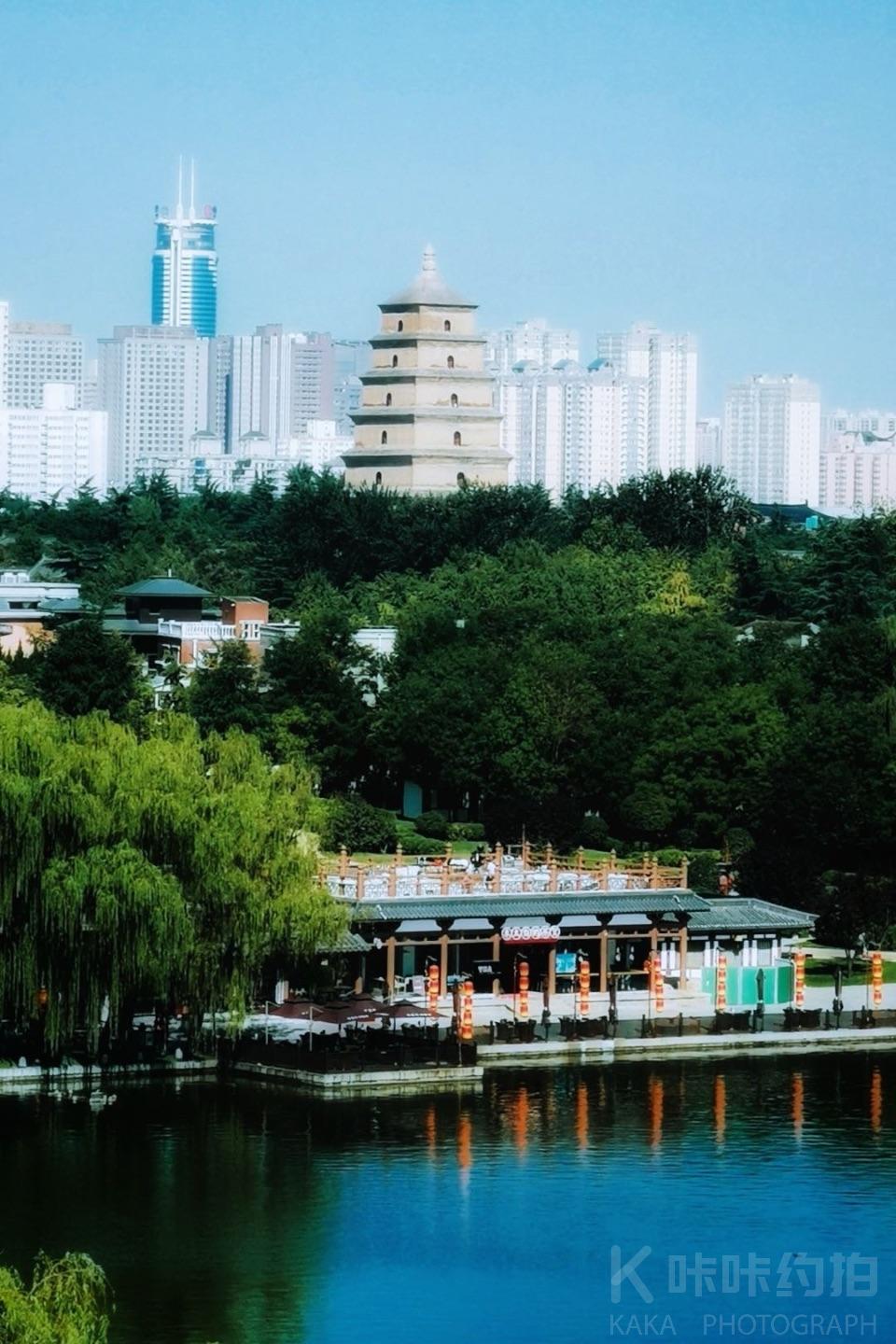 场地图 9