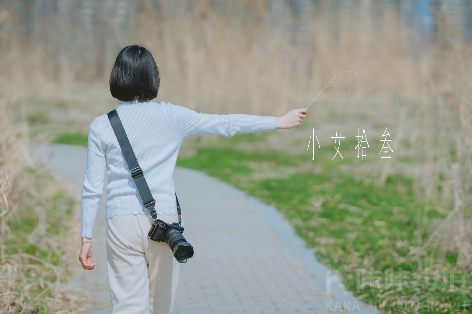 作品图 5