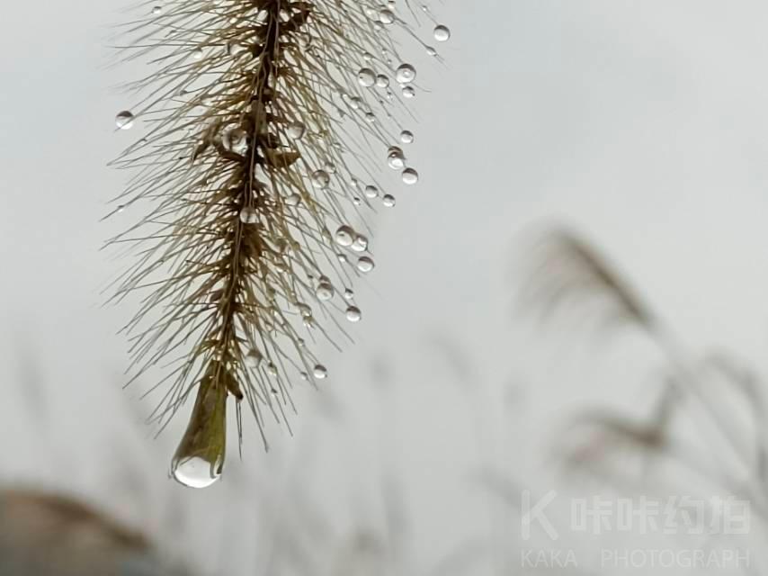 作品图 5