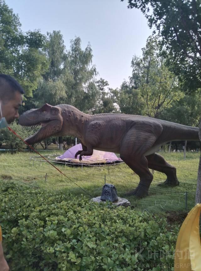 青龙湖公园