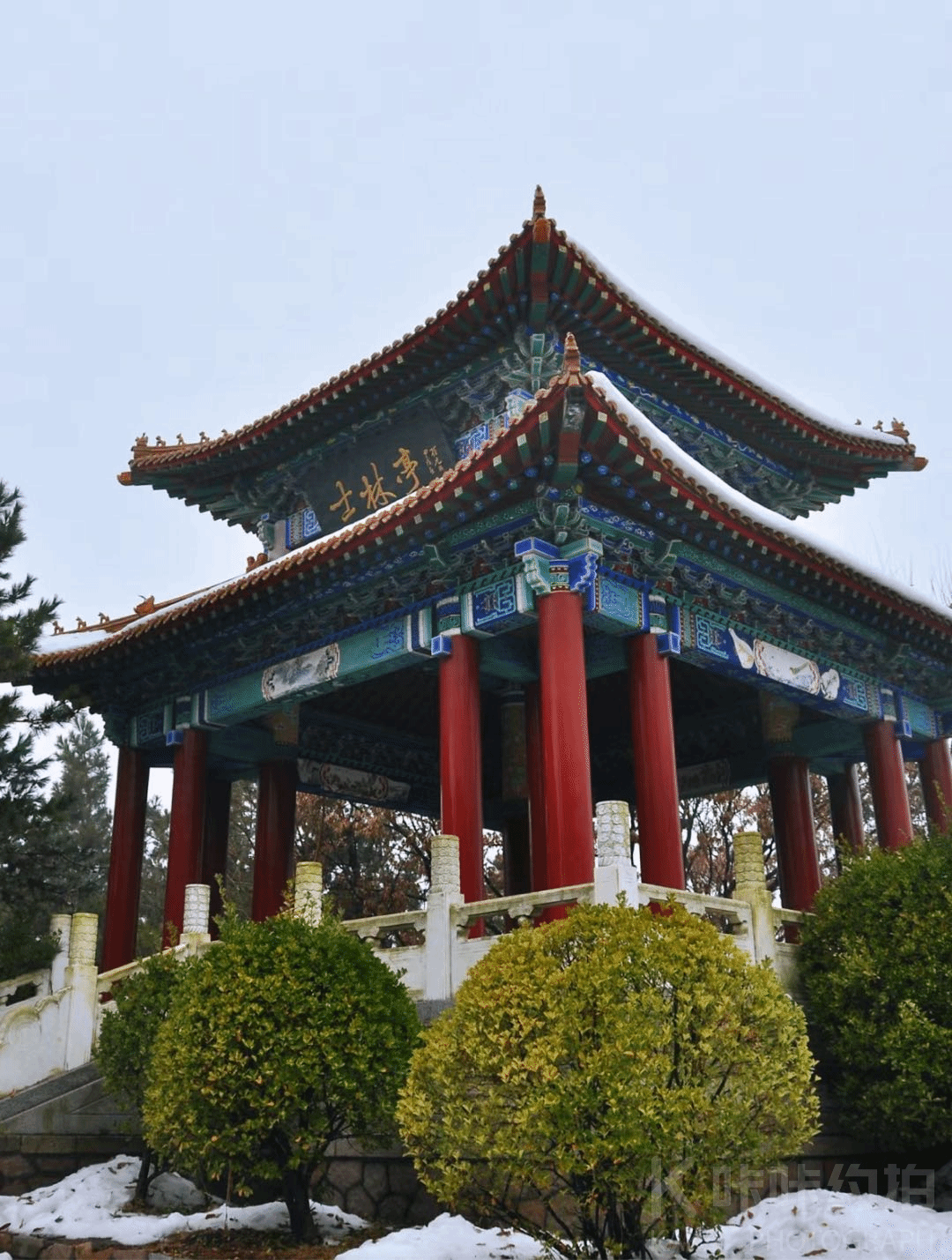 场地图 2