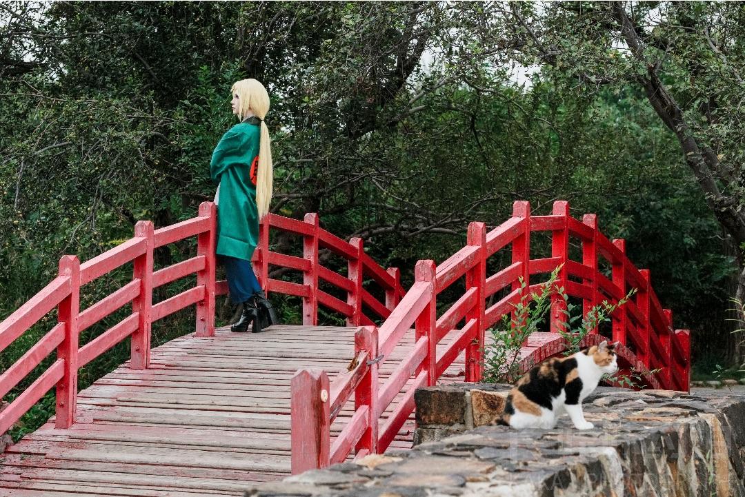 作品图 7