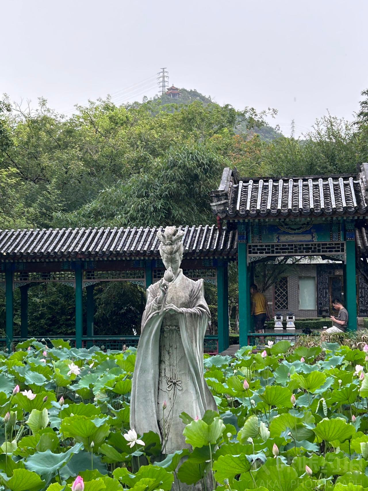 场地图 7